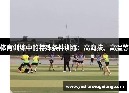 体育训练中的特殊条件训练：高海拔、高温等
